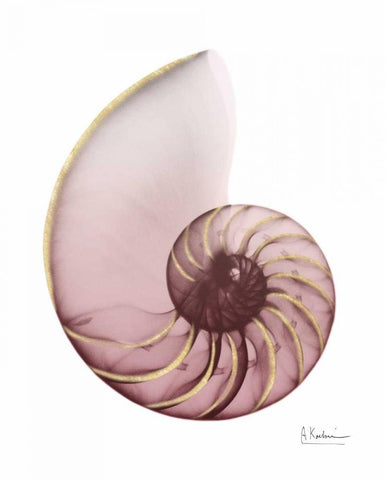 Shimmering Blush Snail 1 White Modern Wood Framed Art Print with Double Matting by Koetsier, Albert