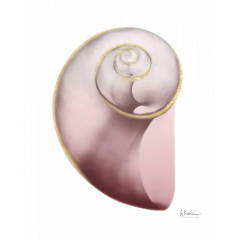 Shimmering Blush Snail 2 White Modern Wood Framed Art Print by Koetsier, Albert