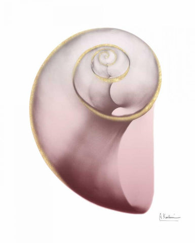 Shimmering Blush Snail 2 White Modern Wood Framed Art Print with Double Matting by Koetsier, Albert