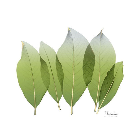 Golden Magnolia Leaf White Modern Wood Framed Art Print by Koetsier, Albert