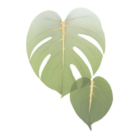 Golden Philodendron White Modern Wood Framed Art Print by Koetsier, Albert