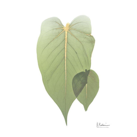 Golden Philodendron 2 White Modern Wood Framed Art Print by Koetsier, Albert