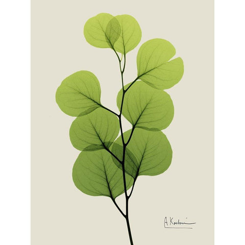 Natural Greenery 4 White Modern Wood Framed Art Print by Koetsier, Albert