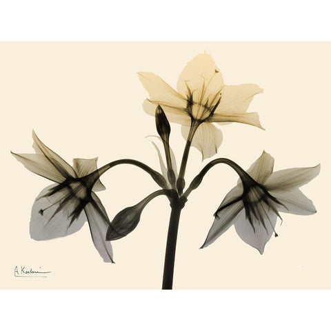 Neutral Trio 1 Black Modern Wood Framed Art Print by Koetsier, Albert