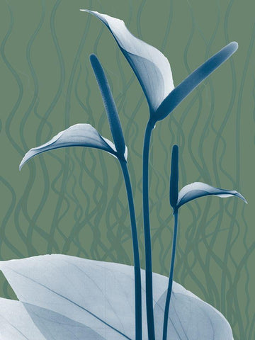 Blue Sage Dawn 2 Black Ornate Wood Framed Art Print with Double Matting by Koetsier, Albert
