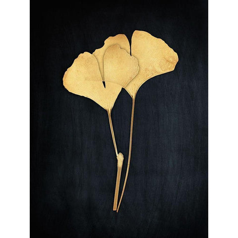 Midas Ginkgo i Gold Ornate Wood Framed Art Print with Double Matting by Koetsier, Albert