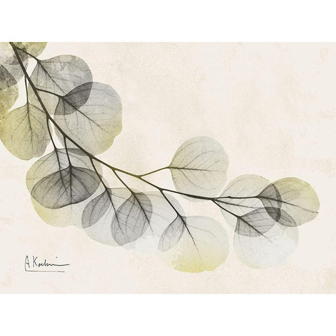 Sunkissed Eucalyptus White Modern Wood Framed Art Print by Koetsier, Albert