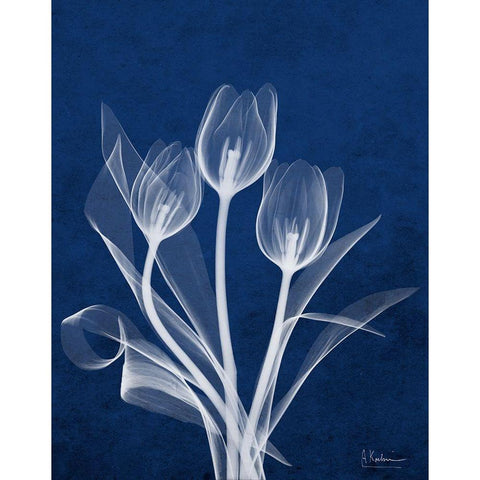 Ecto Indigo Tulips White Modern Wood Framed Art Print by Koetsier, Albert