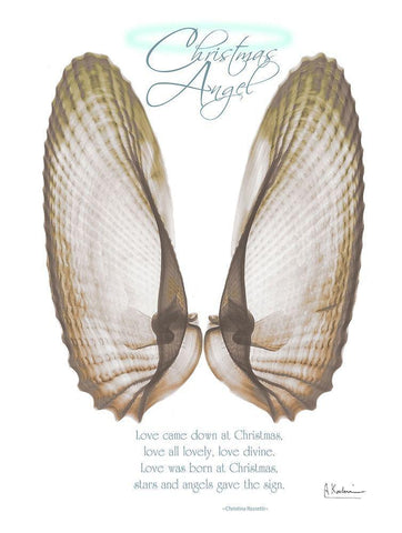 Christmas Morning Wings White Modern Wood Framed Art Print with Double Matting by Koetsier, Albert