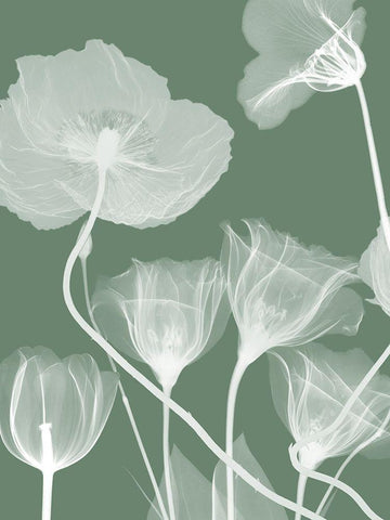 Emerald Flora 1 White Modern Wood Framed Art Print with Double Matting by Koetsier, Albert