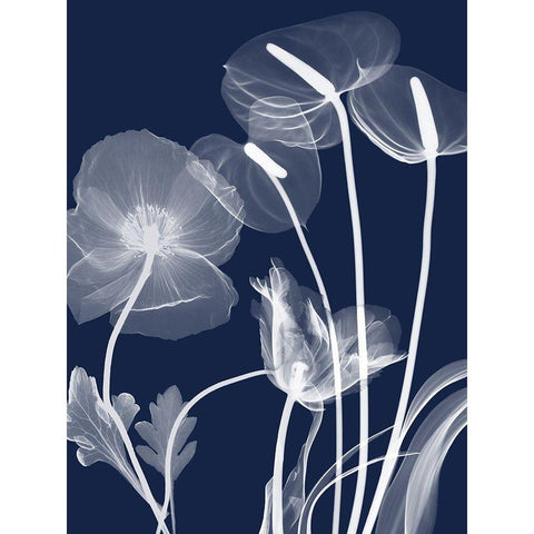 Navy Flora 1 White Modern Wood Framed Art Print by Koetsier, Albert