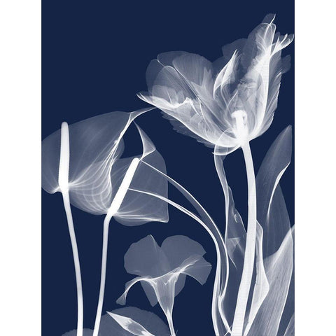 Navy Flora 2 White Modern Wood Framed Art Print by Koetsier, Albert