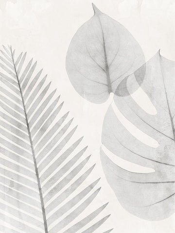 Distilled Botanicals 1 White Modern Wood Framed Art Print with Double Matting by Koetsier, Albert