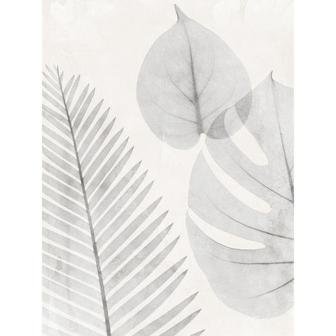 Distilled Botanicals 1 Black Modern Wood Framed Art Print by Koetsier, Albert