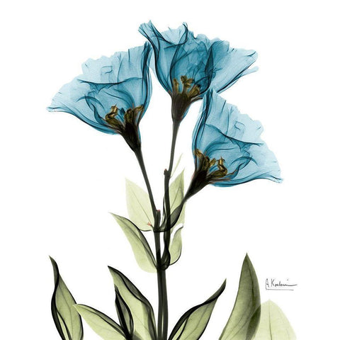 Gentian L301 White Modern Wood Framed Art Print by Koetsier, Albert