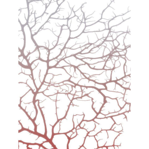 Coral Sea Fan 1 White Modern Wood Framed Art Print by Koetsier, Albert