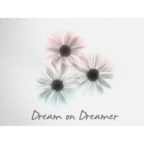 Dream on Dreamer Margarithe Black Modern Wood Framed Art Print with Double Matting by Koetsier, Albert