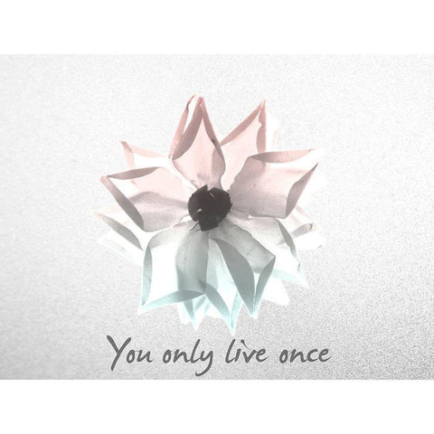 You Only Live Once Rose Black Modern Wood Framed Art Print with Double Matting by Koetsier, Albert