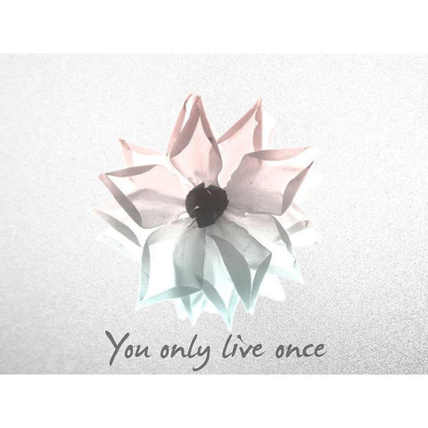 You Only Live Once Rose Black Modern Wood Framed Art Print by Koetsier, Albert