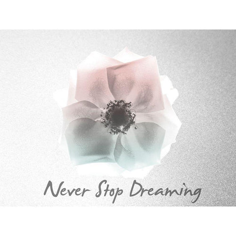 Never Stop Dreaming Rose White Modern Wood Framed Art Print by Koetsier, Albert