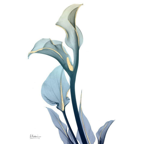 Gold Sprinkled Calla Lily White Modern Wood Framed Art Print by Koetsier, Albert