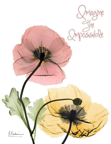 Impossible  Poppies White Modern Wood Framed Art Print with Double Matting by Koetsier, Albert