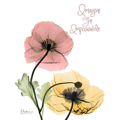 Impossible  Poppies White Modern Wood Framed Art Print by Koetsier, Albert