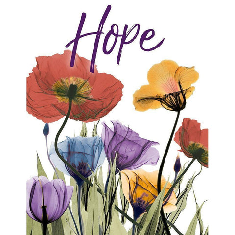 Hopeful Flowerscape White Modern Wood Framed Art Print by Koetsier, Albert