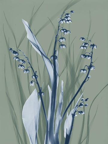 Radiant Blue Sage 2 White Modern Wood Framed Art Print with Double Matting by Koetsier, Albert