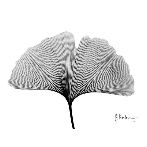 Inverted Ginko 1 Black Modern Wood Framed Art Print with Double Matting by Koetsier, Albert