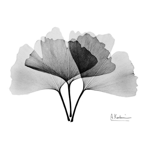 Inverted Ginko 2 Gold Ornate Wood Framed Art Print with Double Matting by Koetsier, Albert