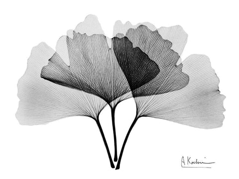 Inverted Ginko 2 White Modern Wood Framed Art Print with Double Matting by Koetsier, Albert