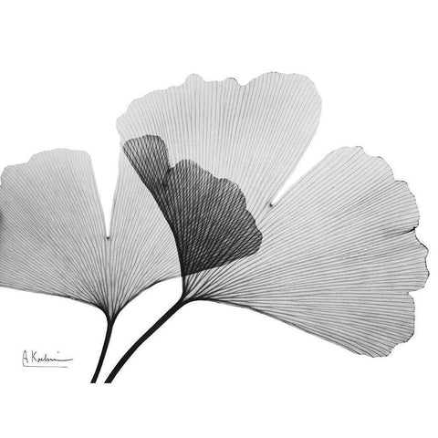 Inverted Ginko 3 Gold Ornate Wood Framed Art Print with Double Matting by Koetsier, Albert