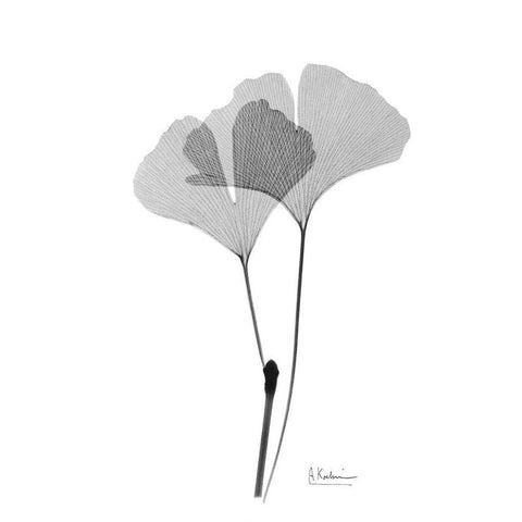 Inverted Ginko 4 Black Modern Wood Framed Art Print by Koetsier, Albert