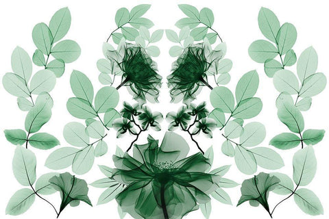 Emerald Growth 1 White Modern Wood Framed Art Print with Double Matting by Koetsier, Albert