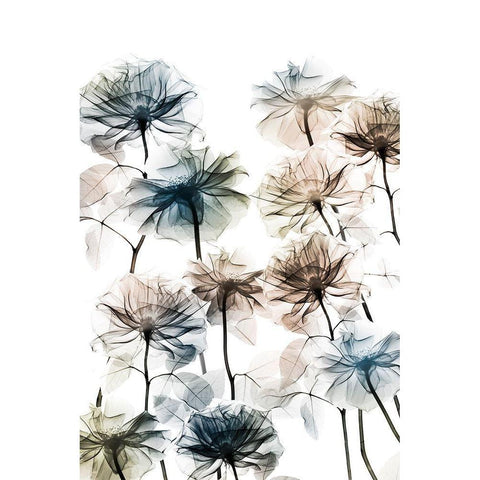 Energetic Flower Bed 3 White Modern Wood Framed Art Print by Koetsier, Albert