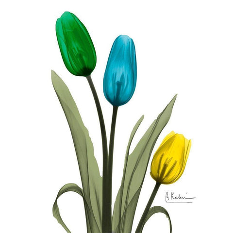 Jeweled Tulip Trio 1 White Modern Wood Framed Art Print by Koetsier, Albert