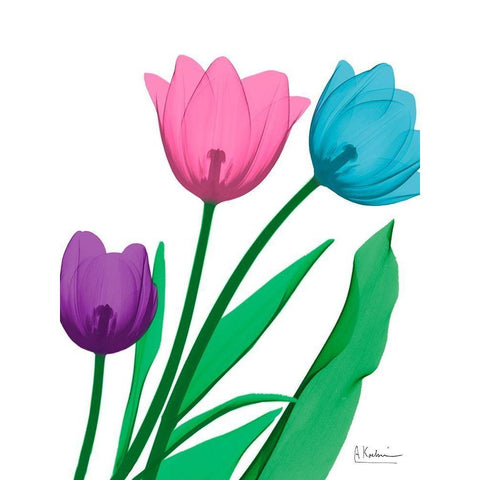 Shiny Tulips 2 White Modern Wood Framed Art Print by Koetsier, Albert