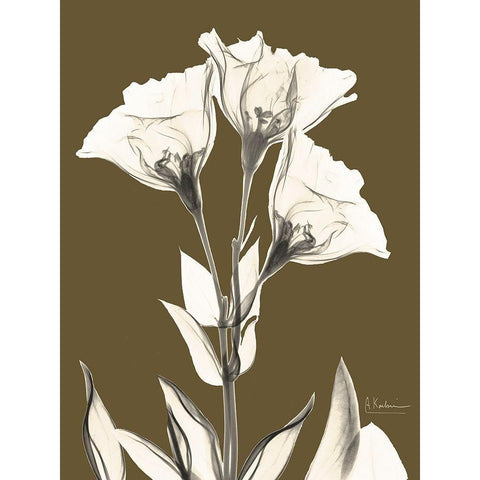 Gentian Fall White Modern Wood Framed Art Print by Koetsier, Albert