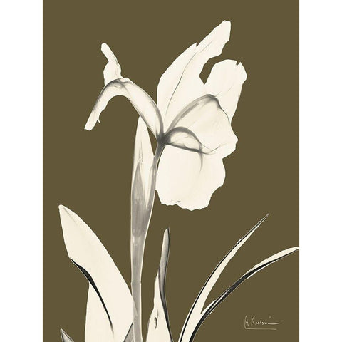 Iris Fall Black Modern Wood Framed Art Print with Double Matting by Koetsier, Albert