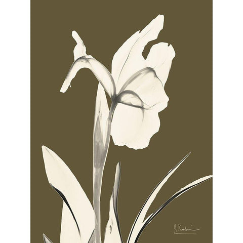 Iris Fall White Modern Wood Framed Art Print by Koetsier, Albert