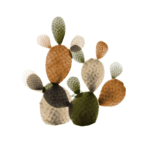 Urban Cactus Bunch 2 Black Modern Wood Framed Art Print with Double Matting by Koetsier, Albert