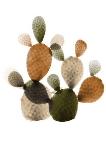 Urban Cactus Bunch 2 White Modern Wood Framed Art Print with Double Matting by Koetsier, Albert