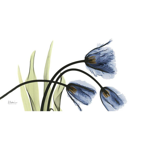 Tulip Blues White Modern Wood Framed Art Print by Koetsier, Albert