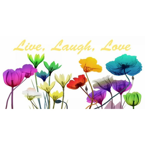 Live Laugh Love White Modern Wood Framed Art Print by Koetsier, Albert