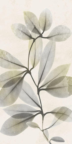 Sunkissed Growth 3 White Modern Wood Framed Art Print with Double Matting by Koetsier, Albert