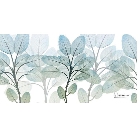 Resilient Blooms 1 White Modern Wood Framed Art Print by Koetsier, Albert