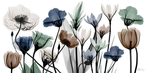 Floral Neutrals 1 White Modern Wood Framed Art Print with Double Matting by Koetsier, Albert