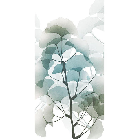 Sea Breeze Ginko 1 White Modern Wood Framed Art Print by Koetsier, Albert