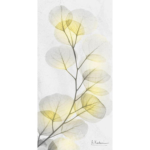 Eucalyptus Sunshine 1 White Modern Wood Framed Art Print by Koetsier, Albert